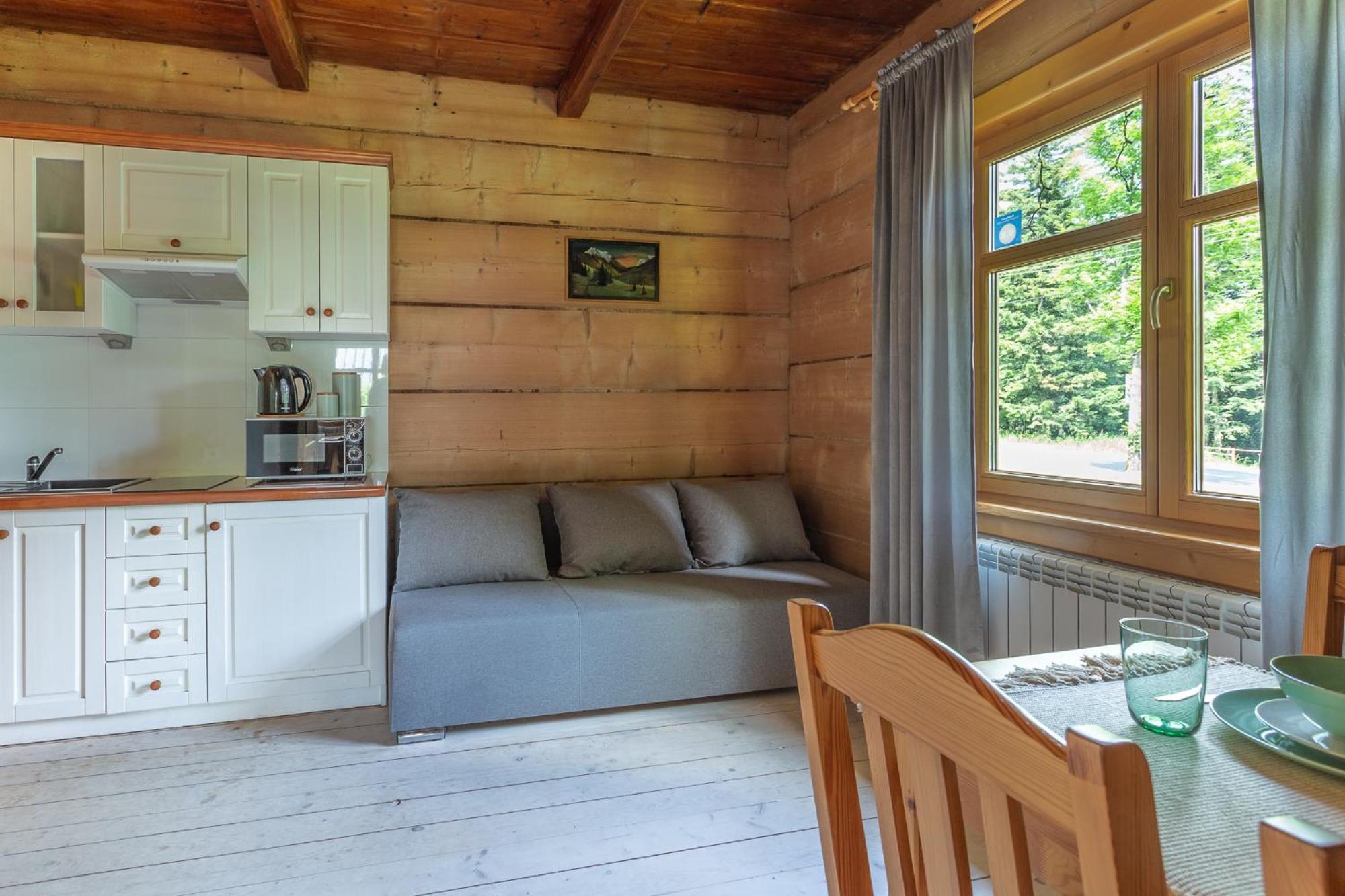 Dlugopolanka Apartment Koscielisko Luaran gambar